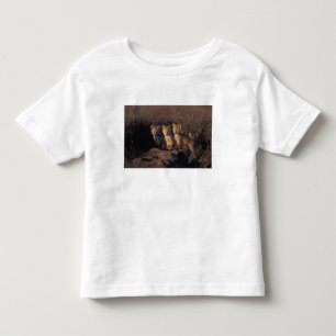 T-shirt Pour Les Tous Petits renard roux, Vulpes vulpes, kits