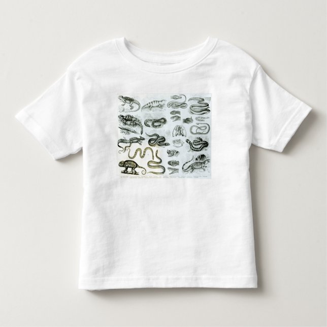 T-shirt Pour Les Tous Petits Reptiles, serpents et lézards (Devant)