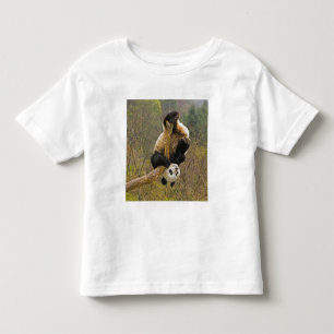 T-shirt Pour Les Tous Petits Réserve de pandas de Wolong, Chine, 2 ans 1/2