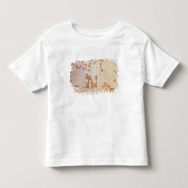 T-shirt Pour Les Tous Petits Reste d'un cadastre (Devant)