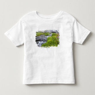 T-shirt Pour Les Tous Petits Rivière trouble avec les fleurs sauvages roses