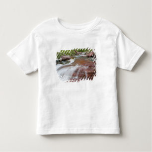 T-shirt Pour Les Tous Petits Rocher rouge dans le ruisseau Baring, national des