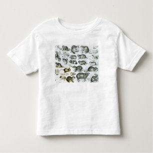 T-shirt Pour Les Tous Petits Rodentia-Rongeurs ou animaux de rongement