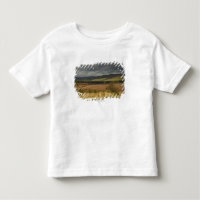 Rolling Hills et montagnes sous un ciel nuageux