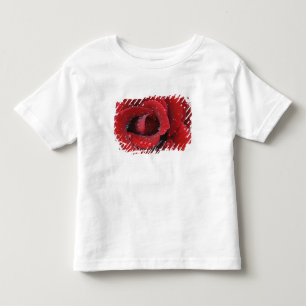 T-shirt Pour Les Tous Petits Rose rouge couverte de rosée décorant un lieu de s