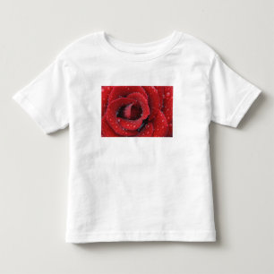 T-shirt Pour Les Tous Petits Rose rouge couverte de rosée décorant un lieu de s