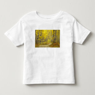 T-shirt Pour Les Tous Petits Route aux couleurs automnales et aux aspérités 