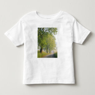 T-shirt Pour Les Tous Petits Route couverte de brouillard, Cades Cove, Great Sm