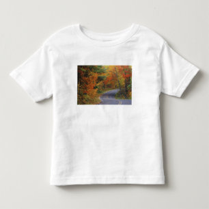 T-shirt Pour Les Tous Petits Route des arbres d'automne dans le Parc d'état d'