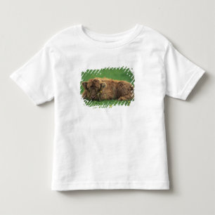 T-shirt Pour Les Tous Petits Royaume-Uni, Écosse. Veau des Highlands
