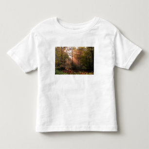 T-shirt Pour Les Tous Petits Royaume-Uni. Forêt de Dean. Rayon de soleil pén