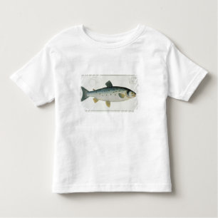 T-shirt Pour Les Tous Petits (Salmo Salar) plat saumoné XX de 'Ichthyologie,