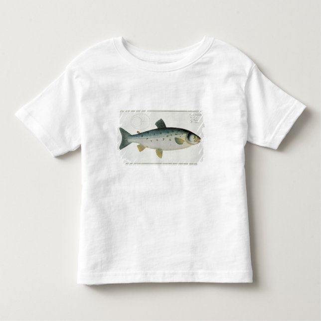 T-shirt Pour Les Tous Petits (Salmo Salar) plat saumoné XX de 'Ichthyologie, (Devant)