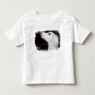 T-shirt Pour Les Tous Petits Saluki recherchant