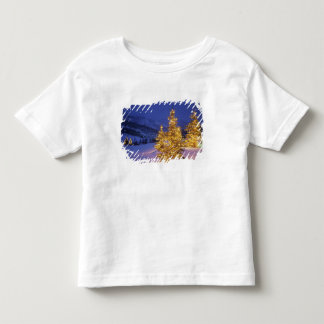 T-shirt Pour Les Tous Petits sapins de Noël, Park City, montagnes Wastch,