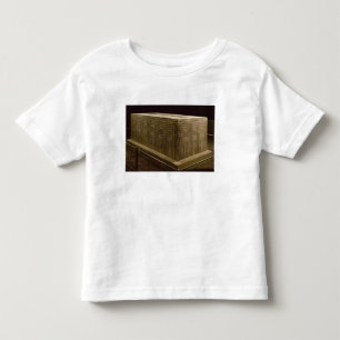 T-shirt Pour Les Tous Petits Sarcophage de gardon d'Abu (chaux) (voyez