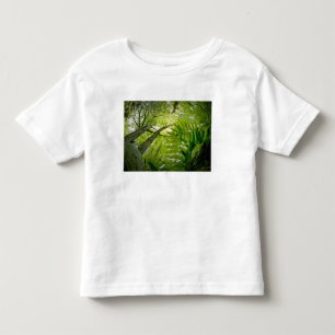 T-shirt Pour Les Tous Petits Scène forestière dans le parc national d'Acadia, M