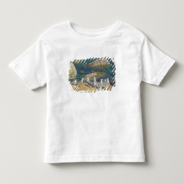 T-shirt Pour Les Tous Petits Seagulls, 1910 (Devant)