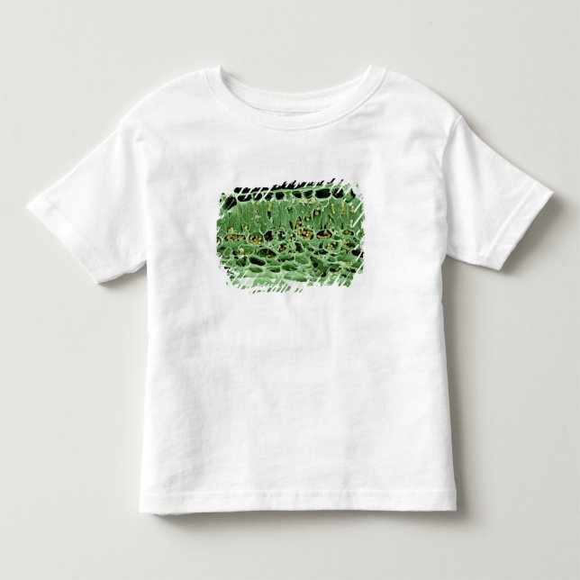 T-shirt Pour Les Tous Petits Section transversale de feuille (Devant)