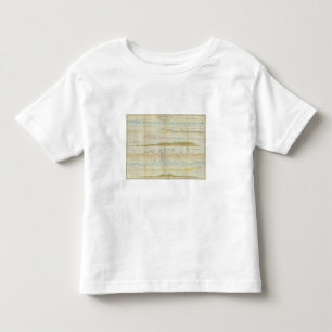T-shirt Pour Les Tous Petits Sections verticales du Maine