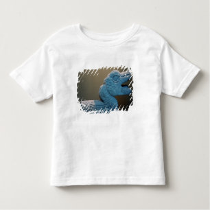 T-shirt Pour Les Tous Petits Serpent emplumé, ANNONCE 800-900