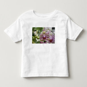 T-shirt Pour Les Tous Petits Singapour (Sanskrit pour Cité Lion). National