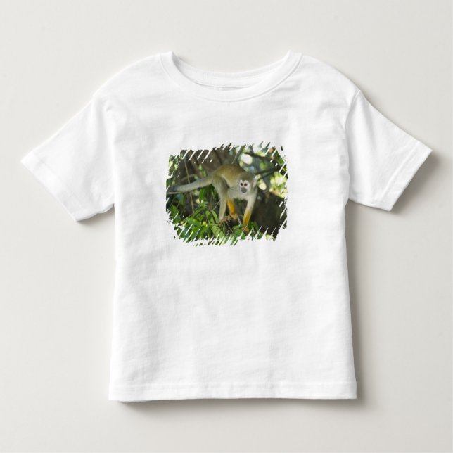 T-shirt Pour Les Tous Petits Singe d'écureuil commun (Saimiri sciureus), Rio (Devant)