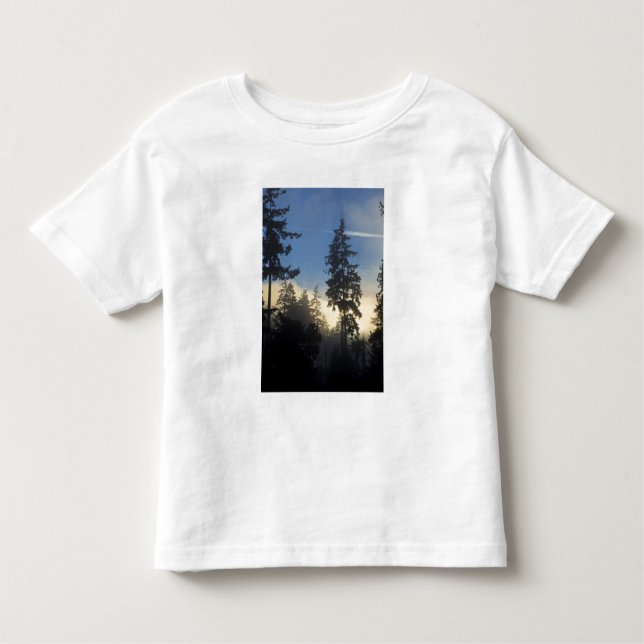 T-shirt Pour Les Tous Petits Stanley Park, bois, couche marine brouillard roula (Devant)