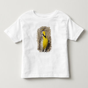 T-shirt Pour Les Tous Petits Sturnelle de l'Ouest (Strunella neglecta)