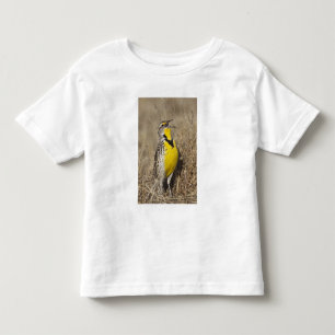 T-shirt Pour Les Tous Petits Sturnelle de l'Ouest (Strunella neglecta)