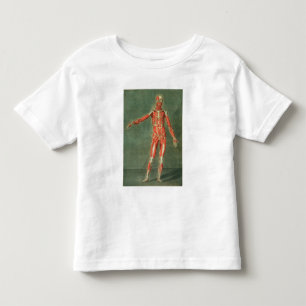 T-shirt Pour Les Tous Petits Système musculaire superficiel de l'avant de la B