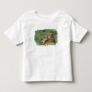 T-shirt Pour Les Tous Petits Tanzanie, cratère du Ngorongoro. Lionne africaine