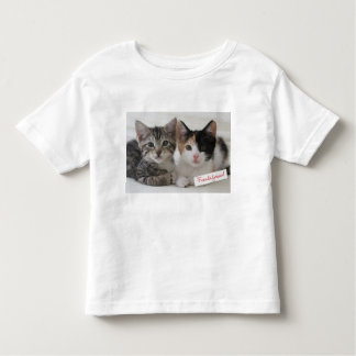T-shirt Pour Les Tous Petits Tasse de chatons de meilleurs amis