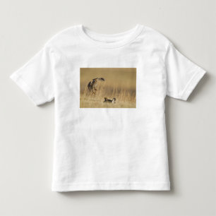 T-shirt Pour Les Tous Petits Tétras des prairies mâles au lek dans le comté de 