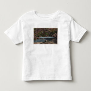 T-shirt Pour Les Tous Petits Thermopolis, WY - vue de Hot Springs de Big Horn