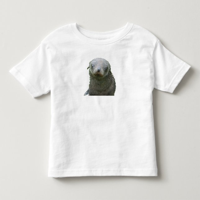 T-shirt Pour Les Tous Petits Toddler Phoque Mignon (Devant)