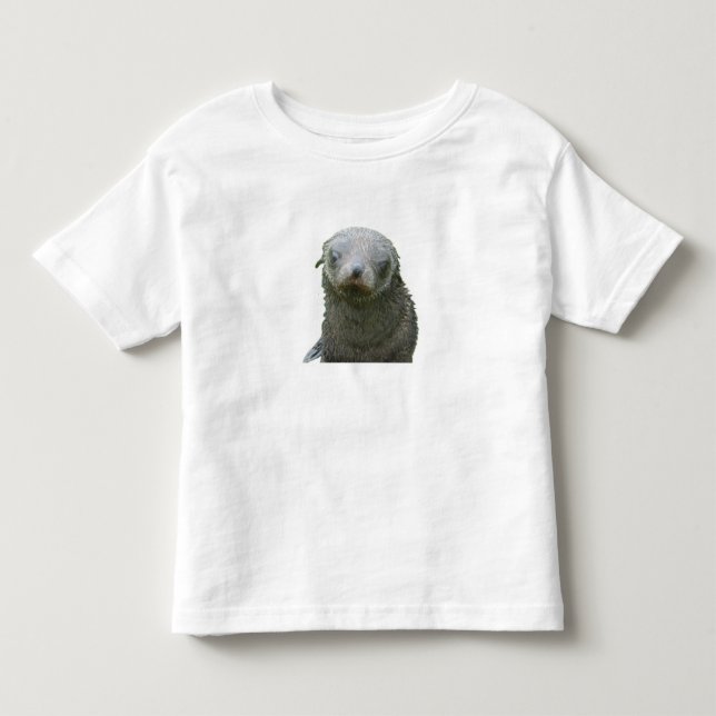 T-shirt Pour Les Tous Petits Toddler Phoque Mignon (Devant)