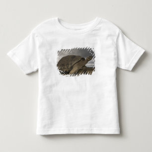 T-shirt Pour Les Tous Petits Tortue géante des Galapagos Geochelone
