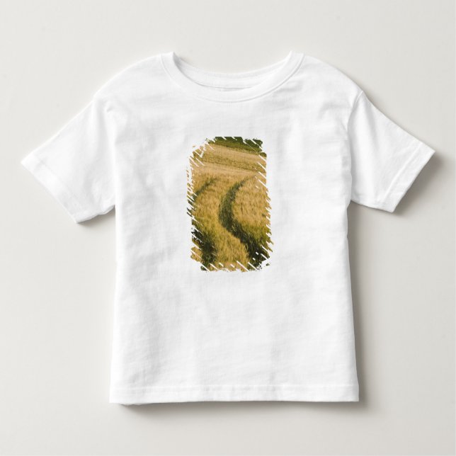 T-shirt Pour Les Tous Petits Tracteurs à travers le blé, Toscane, Italie (Devant)