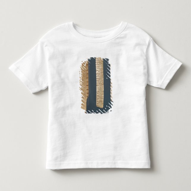 T-shirt Pour Les Tous Petits Trois ont décoré des os (Devant)