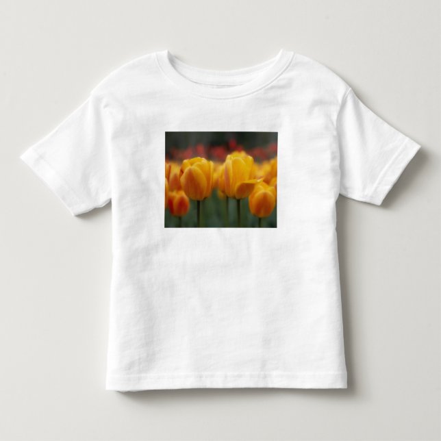 T-shirt Pour Les Tous Petits Tulipes 2 (Devant)