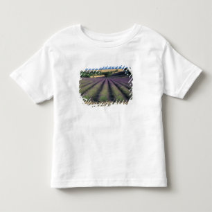T-shirt Pour Les Tous Petits UE, France, Provence, champs de lavande 2