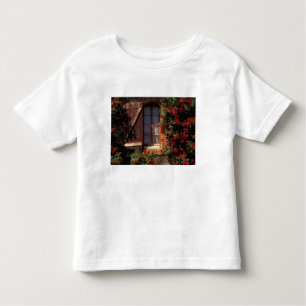 T-shirt Pour Les Tous Petits UE, France, Provence, Vaucluse, Apt. Maison