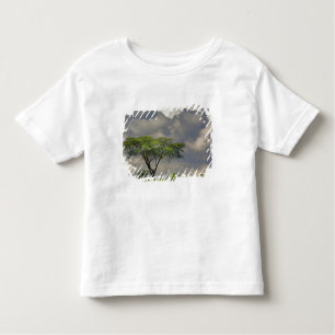 T-shirt Pour Les Tous Petits Umbrella Thorn Acacia, Acacia tortilis et 2