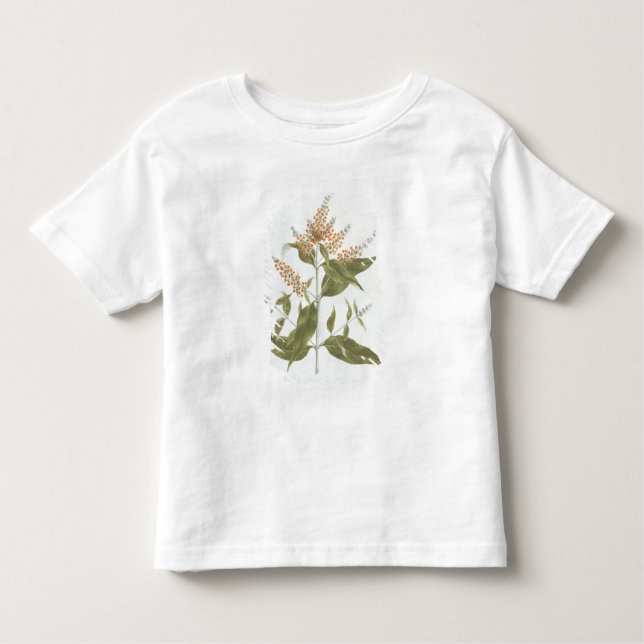 T-shirt Pour Les Tous Petits Umtar (polystachya de buddleia) (la semaine (Devant)