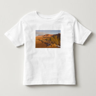 T-shirt Pour Les Tous Petits Un arbre de genévrier de l'Utah Juniperus osteospe