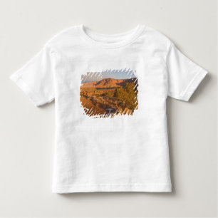 T-shirt Pour Les Tous Petits Un arbre de l'Utah Juniper Juniperus osteosperma) 