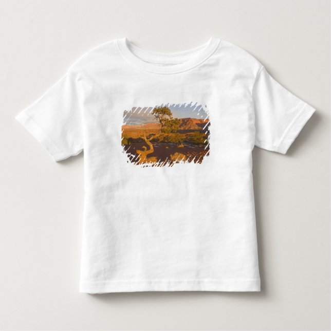 T-shirt Pour Les Tous Petits Un arbre de l'Utah (Juniper Juniperus osteosperma) (Devant)