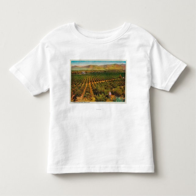 T-shirt Pour Les Tous Petits Un beau GroveState orange (Devant)