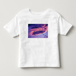 T-shirt Pour Les Tous Petits Un composite photographique de grues du Canada en